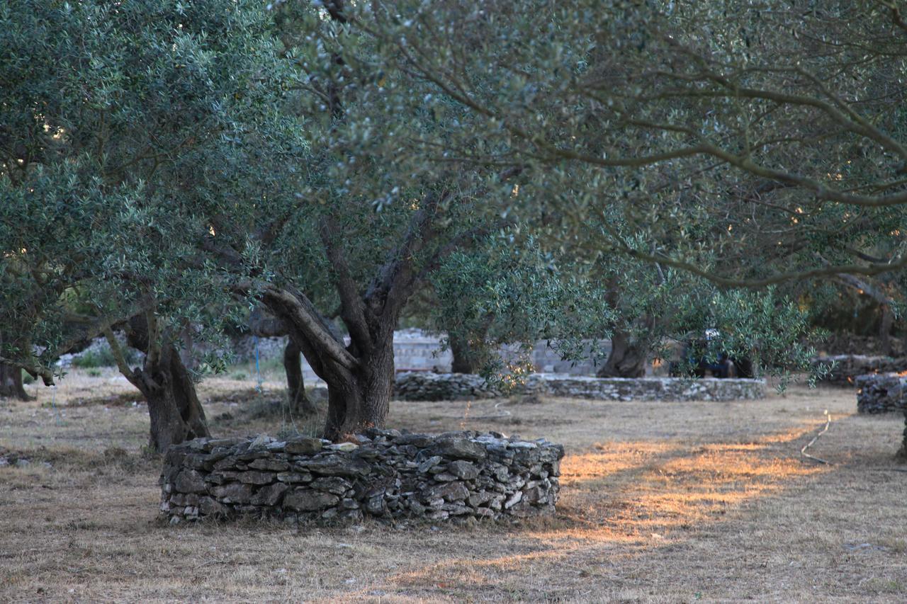 A Loghja Di Cavallo Morto Bonifacio  Exterior photo